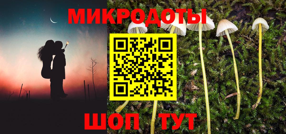 Псилоцибиновые грибы Psilocybine cubensis  Псилоцибиновые грибы ЛСД  Вход с VPN  Карталы 