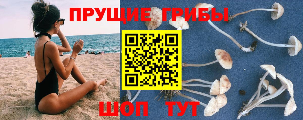 Мяу-Мяу  Карталы  Меф  СОЛЬ CK  Кокаин  Плюхи  Вход с VPN  Канабис 