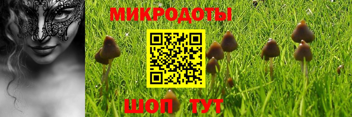 Псилоцибиновые грибы ЛСД Карталы